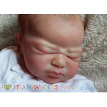  I Art Ultra Newborns Tutorial DVD with Cassie Brace SALE